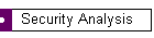 Security Analysis