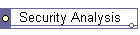 Security Analysis